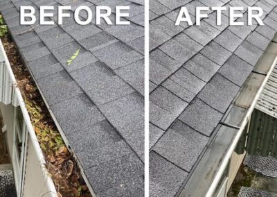gutter cleaning